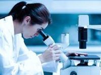 Light Microscopy